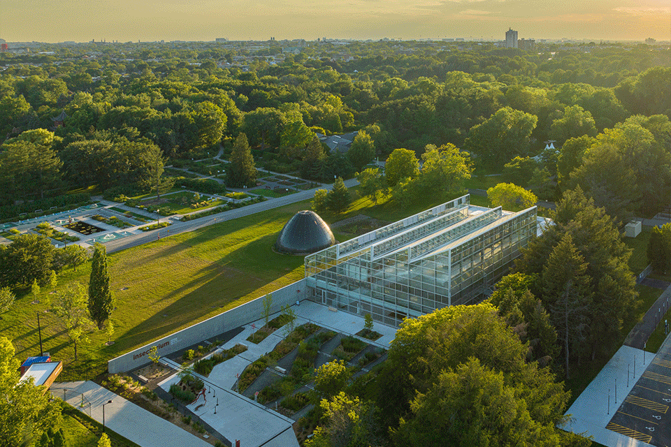 The Insectarium entices visitors into an airy,  greenhouse-style space before leading them into a subterranean world. (Olivier Gariépy)