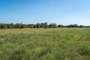 Texas Pacific Land Corp. has teamed up with a data and energy company to develop large-scale data centers. (Getty Images)